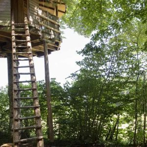 Cabane perchée en Auvergne, accessible par une échelle en bois, entourée darbres.