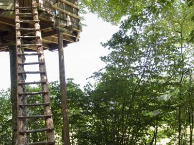 Cabane perchée en Auvergne, accessible par une échelle en bois, entourée darbres.