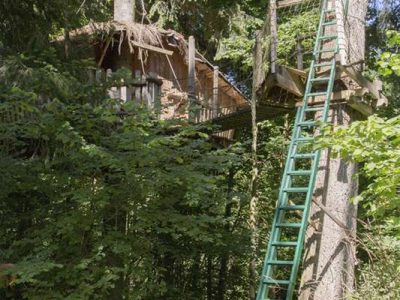 Cabane perchée dans les arbres en Auvergne, entourée de verdure luxuriante.