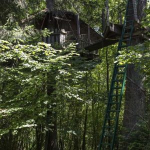 Cabane dans les arbres en Auvergne, perchée entre les feuillages verdoyants.