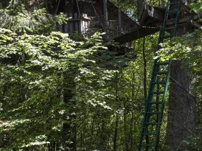 Cabane dans les arbres en Auvergne, perchée entre les feuillages verdoyants.