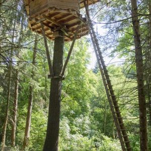 Cabane perchée dans les arbres en Auvergne, entourée de verdure luxuriante.