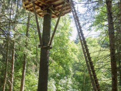 Cabane perchée dans les arbres en Auvergne, entourée de verdure luxuriante.