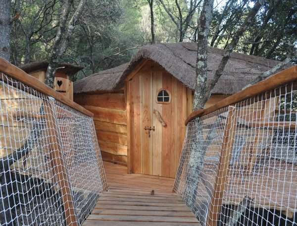Cabane en bois dans les arbres, avec un pont en bois menant à lentrée.
