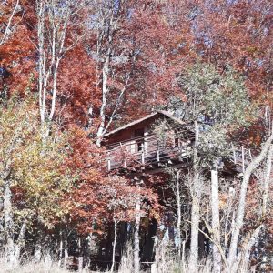 Cabane perchée en bois, entourée darbres aux feuilles colorées dautomne.
