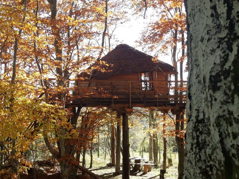Cabane perchée en bois, entourée darbres aux feuilles dorées en Auvergne-Rhône-Alpes.