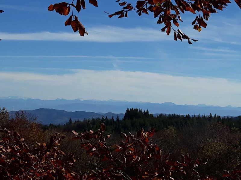 Vue panoramique depuis un chalet en montagne, entouré de feuillage automnal.