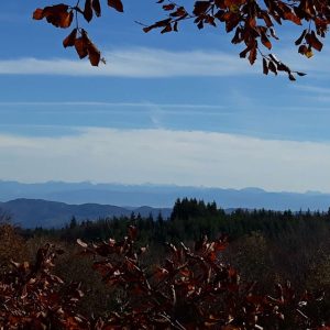 Vue panoramique depuis un hébergement insolite en Auvergne-Rhône-Alpes, entouré de nature.