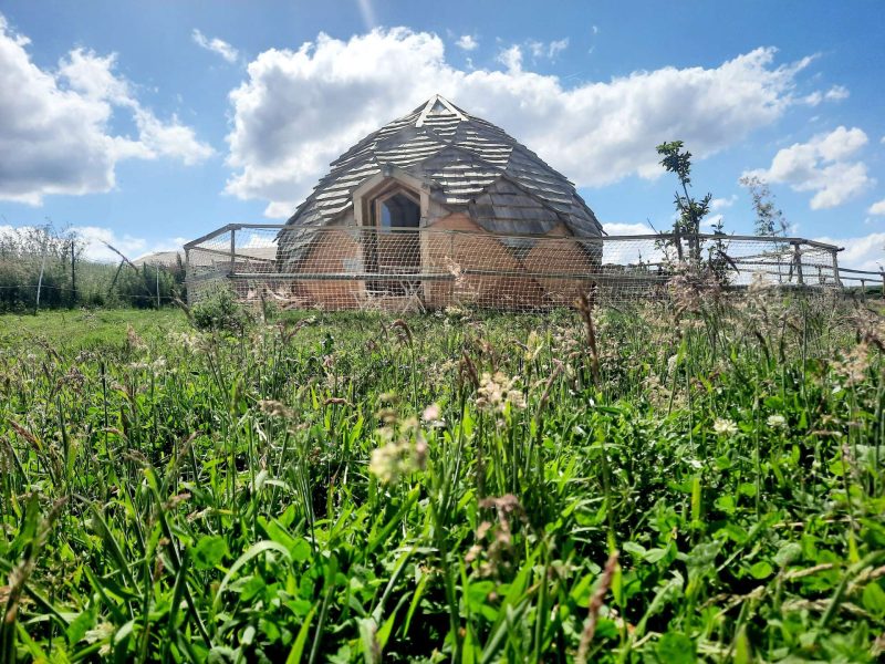 Dôme en bois à Hauts-de-France, entouré de verdure et sous un ciel bleu.