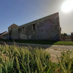 Hébergement insolite en pierre dans les Hauts-de-France, entouré de champs verdoyants.
