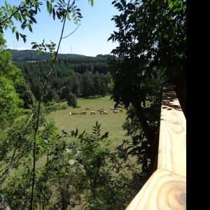 Cabane perchée en bois avec vue sur un champ de vaches et la nature environnante.