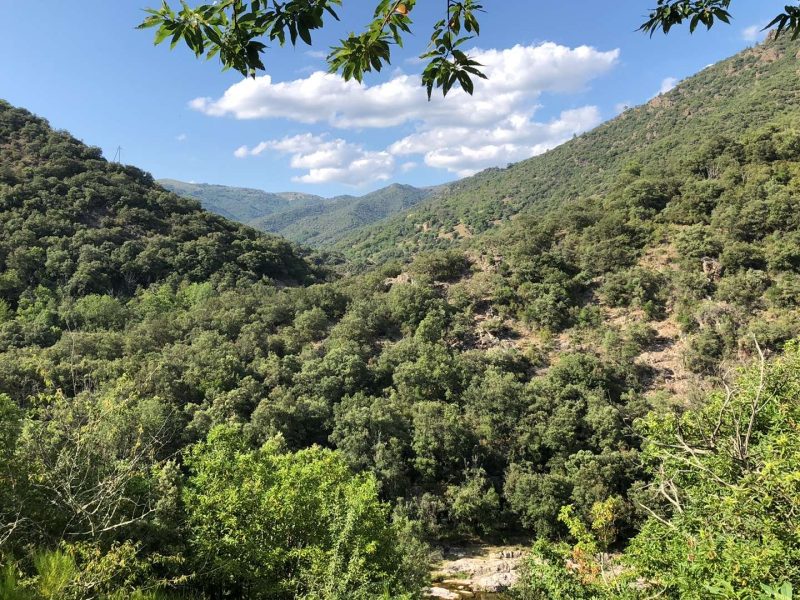 Hébergement en pleine nature, vue panoramique sur des collines verdoyantes.