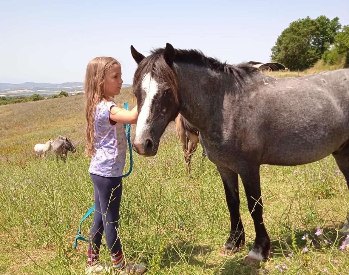 Hébergement insolite en Languedoc-Roussillon : une petite fille soccupe dun cheval dans la nature.