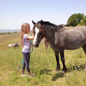 Hébergement insolite en Languedoc-Roussillon : une petite fille soccupe dun cheval dans la nature.