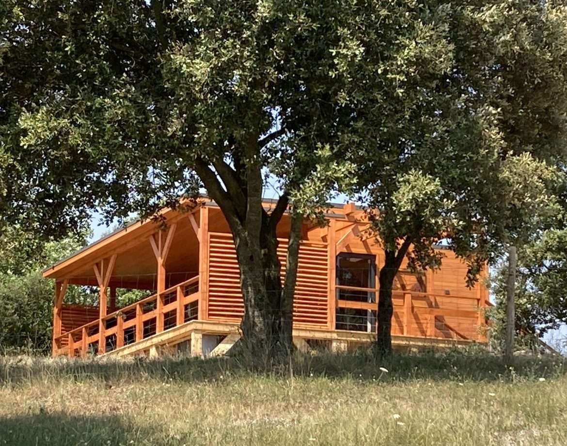 Cabane en bois au cœur de la nature, entourée darbres verdoyants.