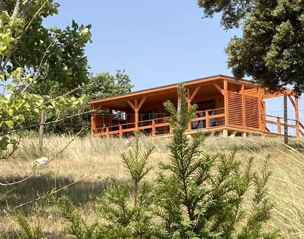 Cabane en bois perchée, entourée de verdure, offrant une vue dégagée sur la nature.