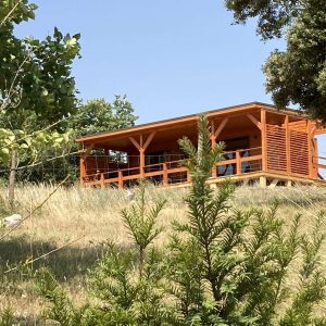 Cabane en bois perchée, entourée de verdure, offrant une vue dégagée sur la nature.