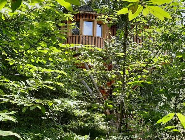 cabane perchée au milieu des feuilles