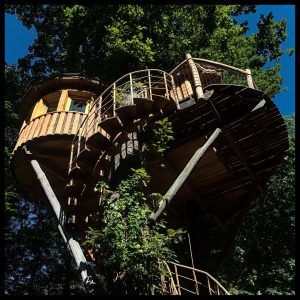 Cabane perchée dans les arbres, avec un escalier en spirale et vue sur la nature.
