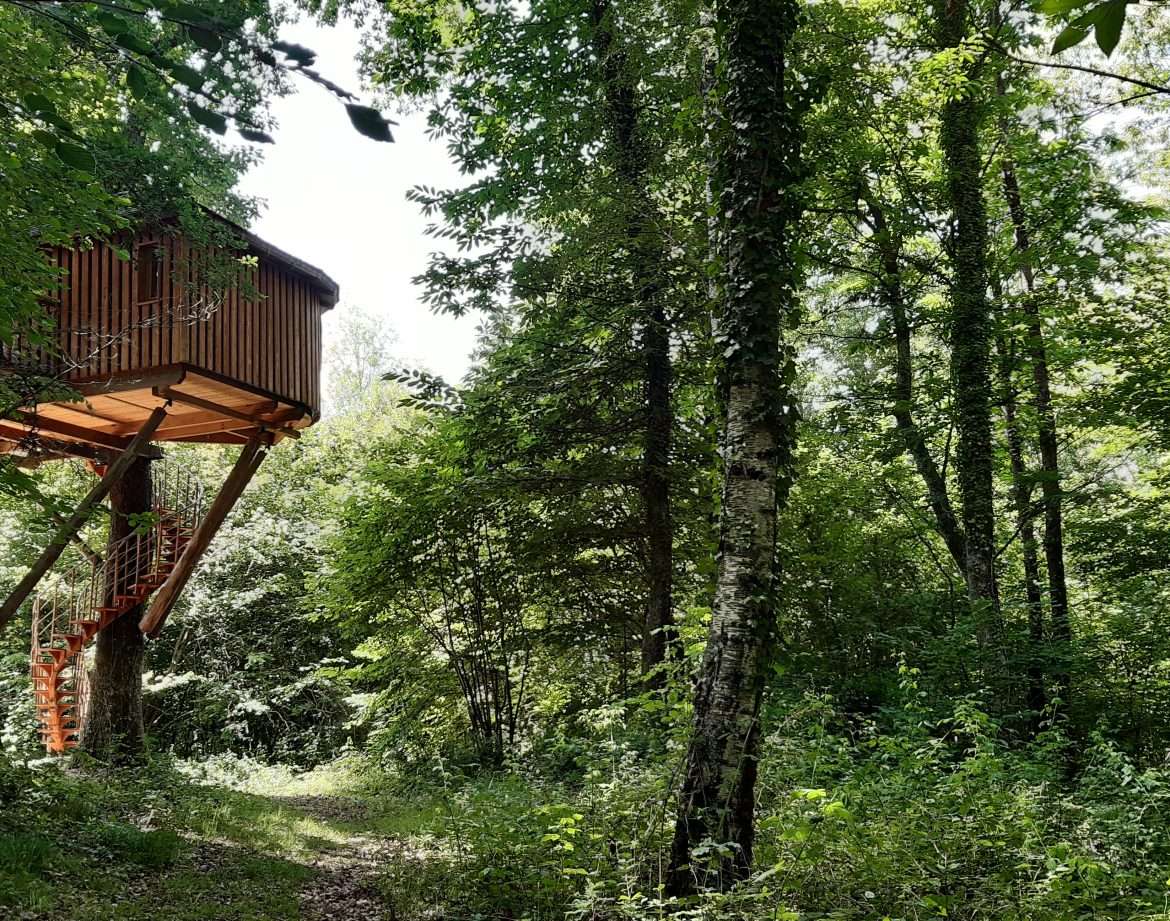 Cabane perchée dans les arbres, entourée dune verdure luxuriante en Aquitaine.