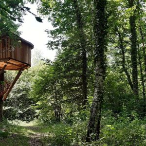 Cabane perchée dans les arbres, entourée dune verdure luxuriante en Aquitaine.