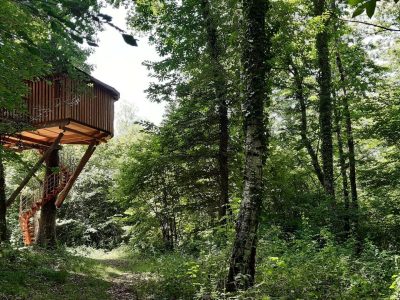 Cabane perchée dans les arbres, entourée dune verdure luxuriante en Aquitaine.