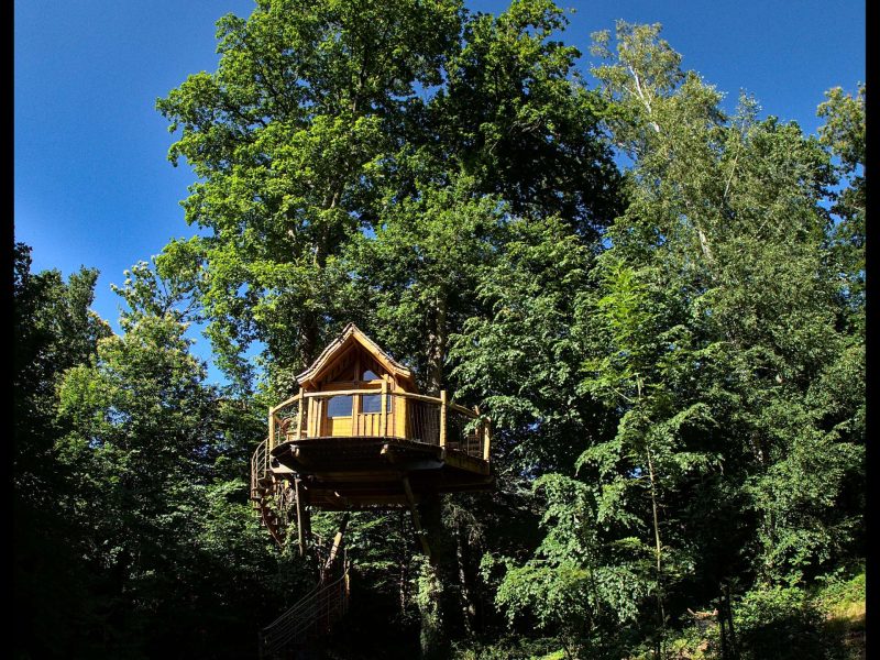 Cabane dans les arbres, perchée au milieu dune verdure luxuriante.