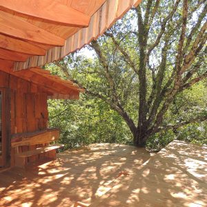 Cabane perchée en bois, avec terrasse ombragée par un grand arbre.