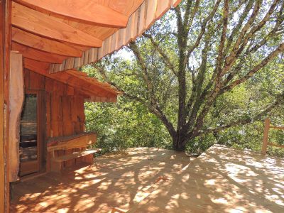 Cabane perchée en bois, avec terrasse ombragée par un grand arbre.