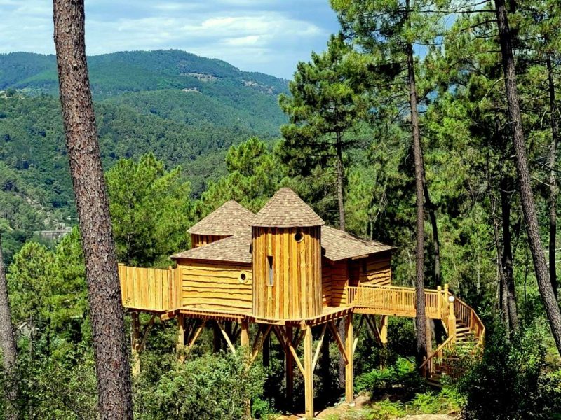 Cabane dans les arbres en bois, perchée au milieu des pins, vue sur la montagne.