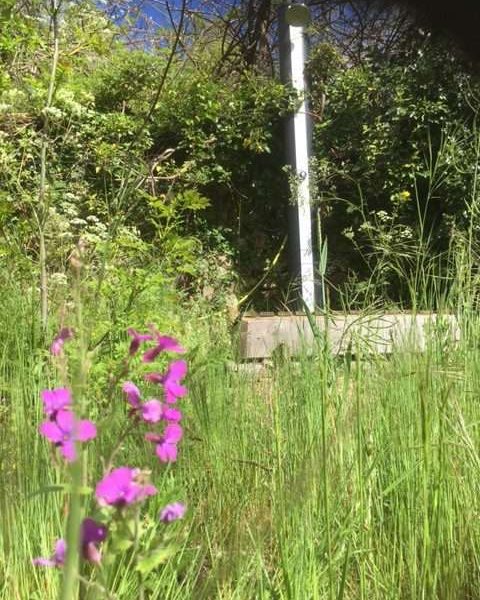 Hébergement en pleine nature, entouré de fleurs sauvages et verdure luxuriante.