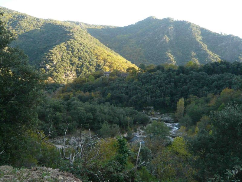 Hébergement en pleine nature, avec vue sur des montagnes verdoyantes et une rivière.