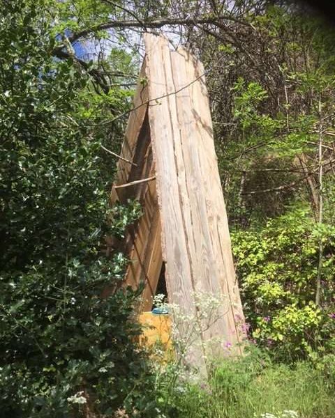 Cabane en bois inclinée, entourée de verdure et de fleurs sauvages.
