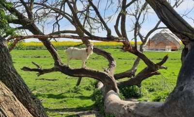 La Ferme de la loge