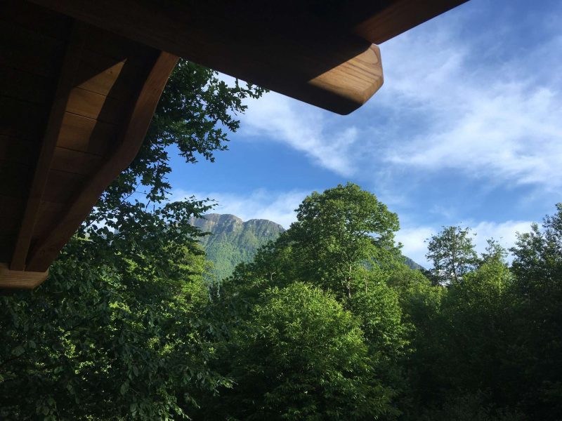 Chalet en bois avec vue sur les montagnes et la verdure environnante.