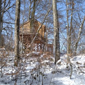 Cabane perchée en bois dans les arbres, entourée de neige et de nature.