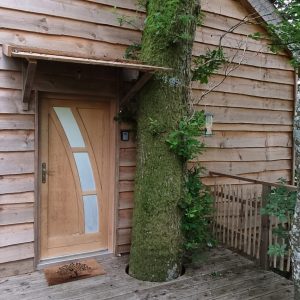 Cabane perchée en bois, intégrée à un arbre, entourée de verdure luxuriante.