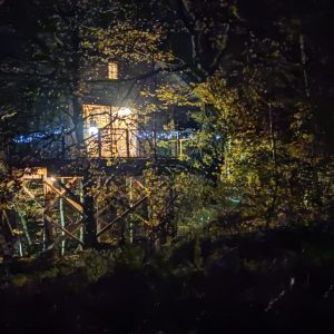 Cabane perchée dans les arbres, illuminée par une douce lumière nocturne.