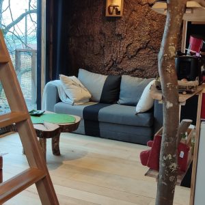 Hébergement insolite en bois avec un salon cosy et un arbre décoratif intérieur.