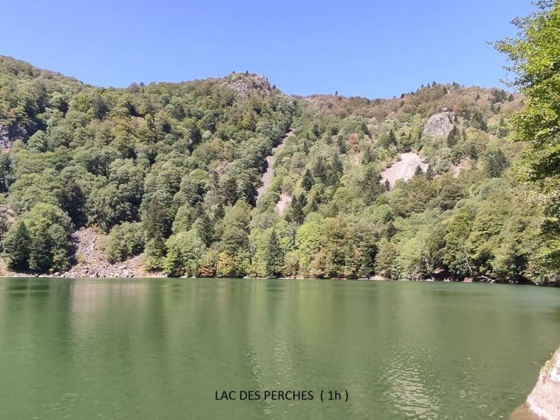 Chalet au bord du lac des Perches, entouré de verdure et montagnes.