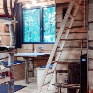 Cabane en bois dans les arbres, avec échelle et vue sur la nature.
