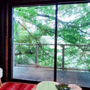 Cabane en bois avec vue sur la nature, baignée de lumière et entourée darbres.