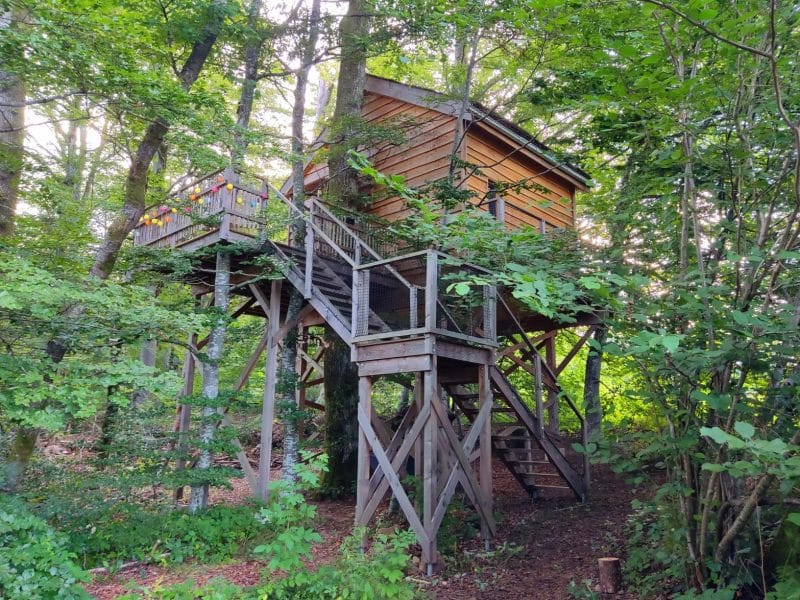 Cabane perchée dans les arbres, entourée de verdure luxuriante à Grand-Est.