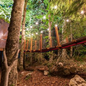 Cabane dans les arbres en Auvergne, illuminée par des guirlandes lumineuses.