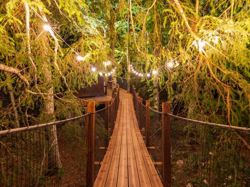 Cabane dans les arbres avec un chemin lumineux suspendu au milieu des feuillus.