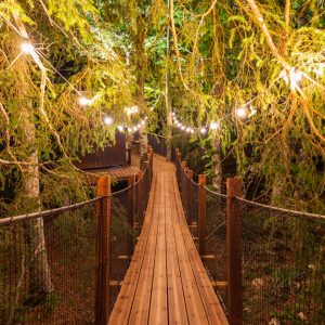 Cabane perchée en forêt, chemin lumineux suspendu entre les arbres.