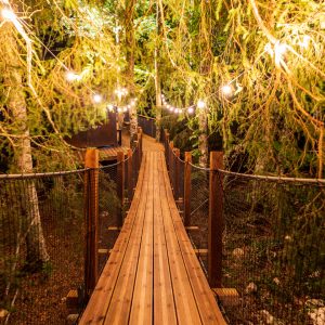 Cabane perchée en forêt, chemin lumineux en bois entouré darbres verdoyants.
