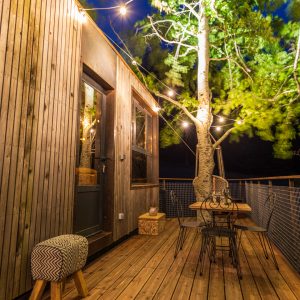 Cabane perchée en bois avec terrasse lumineuse sous un arbre majestueux.