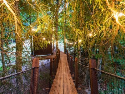 Cabane dans les arbres en Auvergne-Rhône-Alpes, avec un chemin lumineux suspendu.