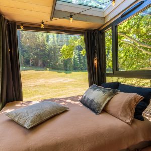 Cabane en bois avec toit vitré, offrant une vue imprenable sur la nature environnante.